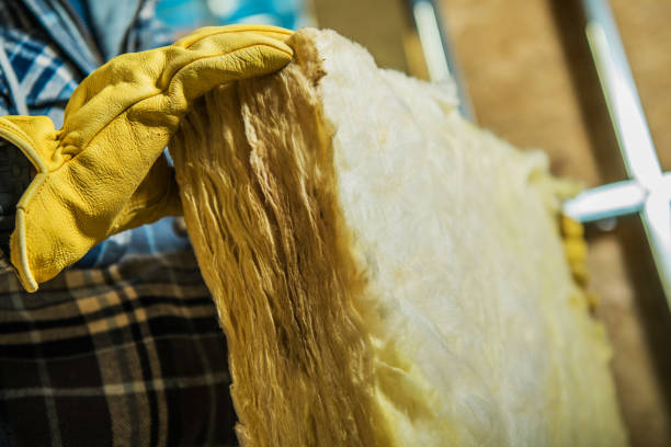 Best Eco-Friendly Insulation in Senatobia, MS