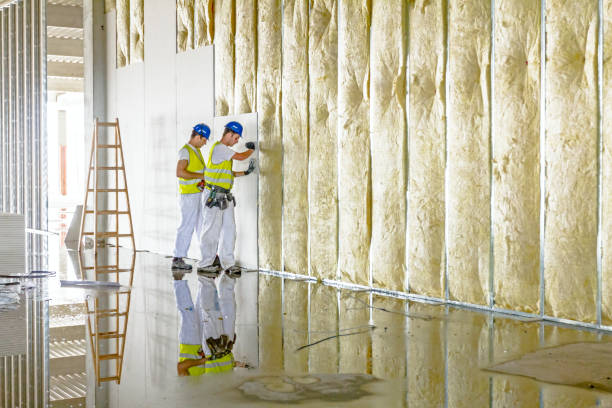 Types of Insulation We Offer in Senatobia, MS